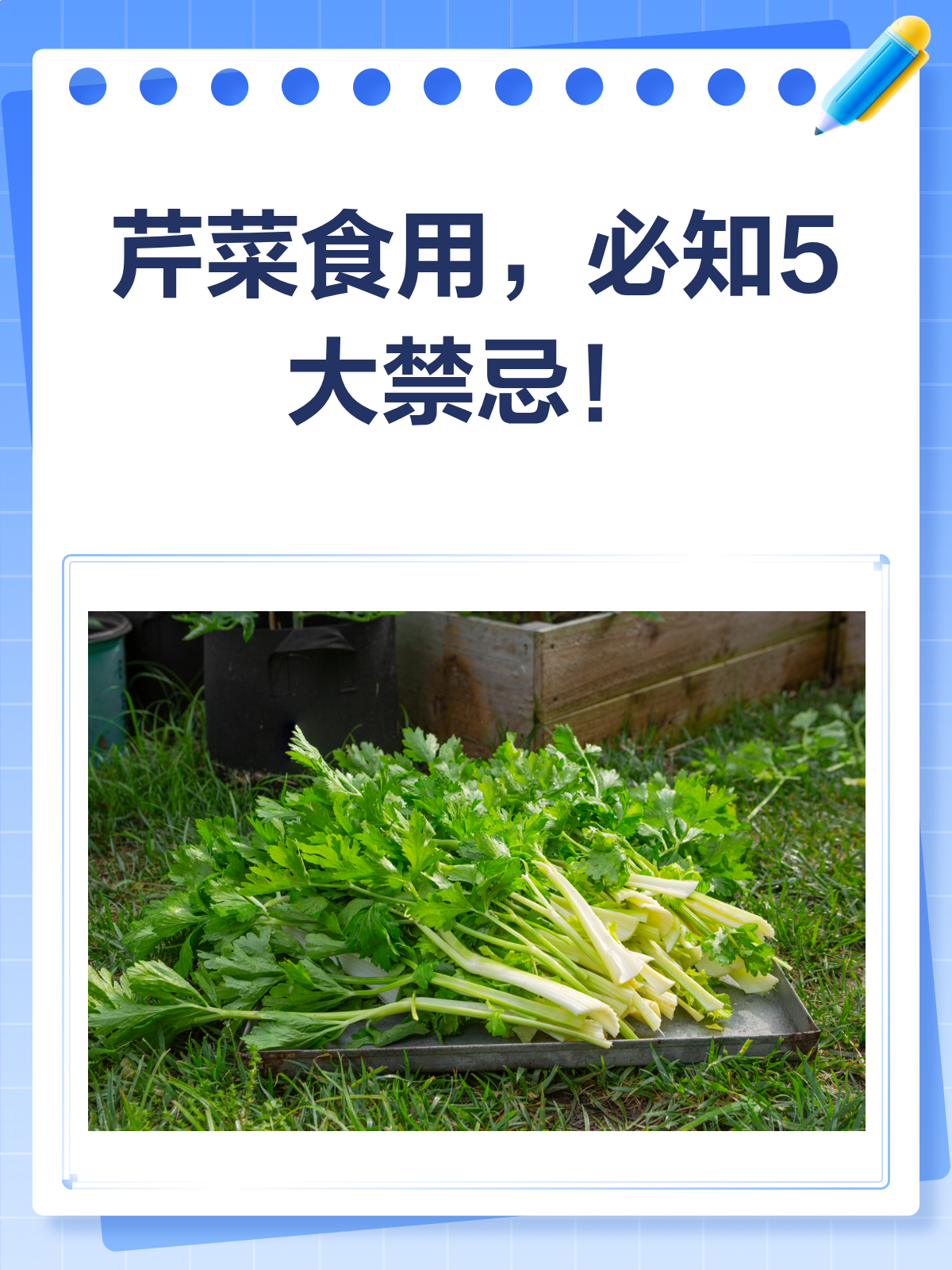 芹菜食用禁忌,这5点你一定要知道!