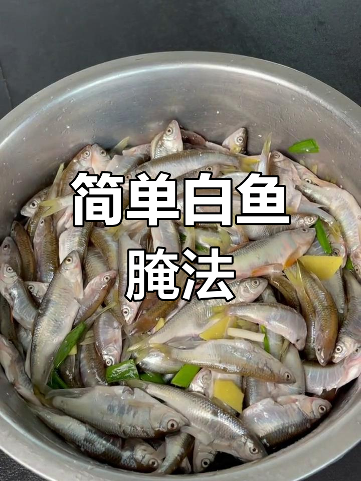 白鱼腌制技巧,煎炸晒干都好吃