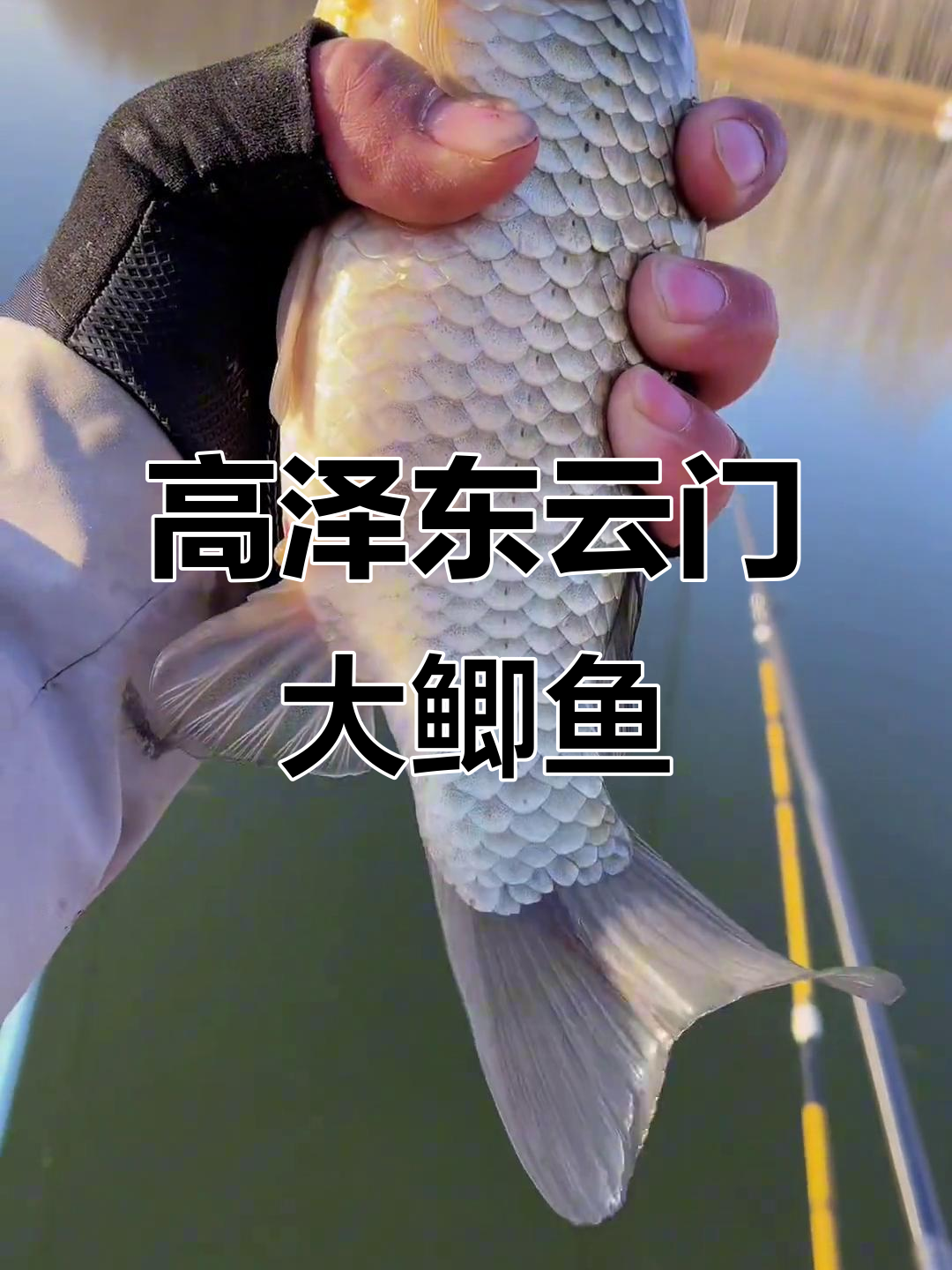 感受高泽东云门大鲫鱼的震撼,野生板鲫超乎想象!