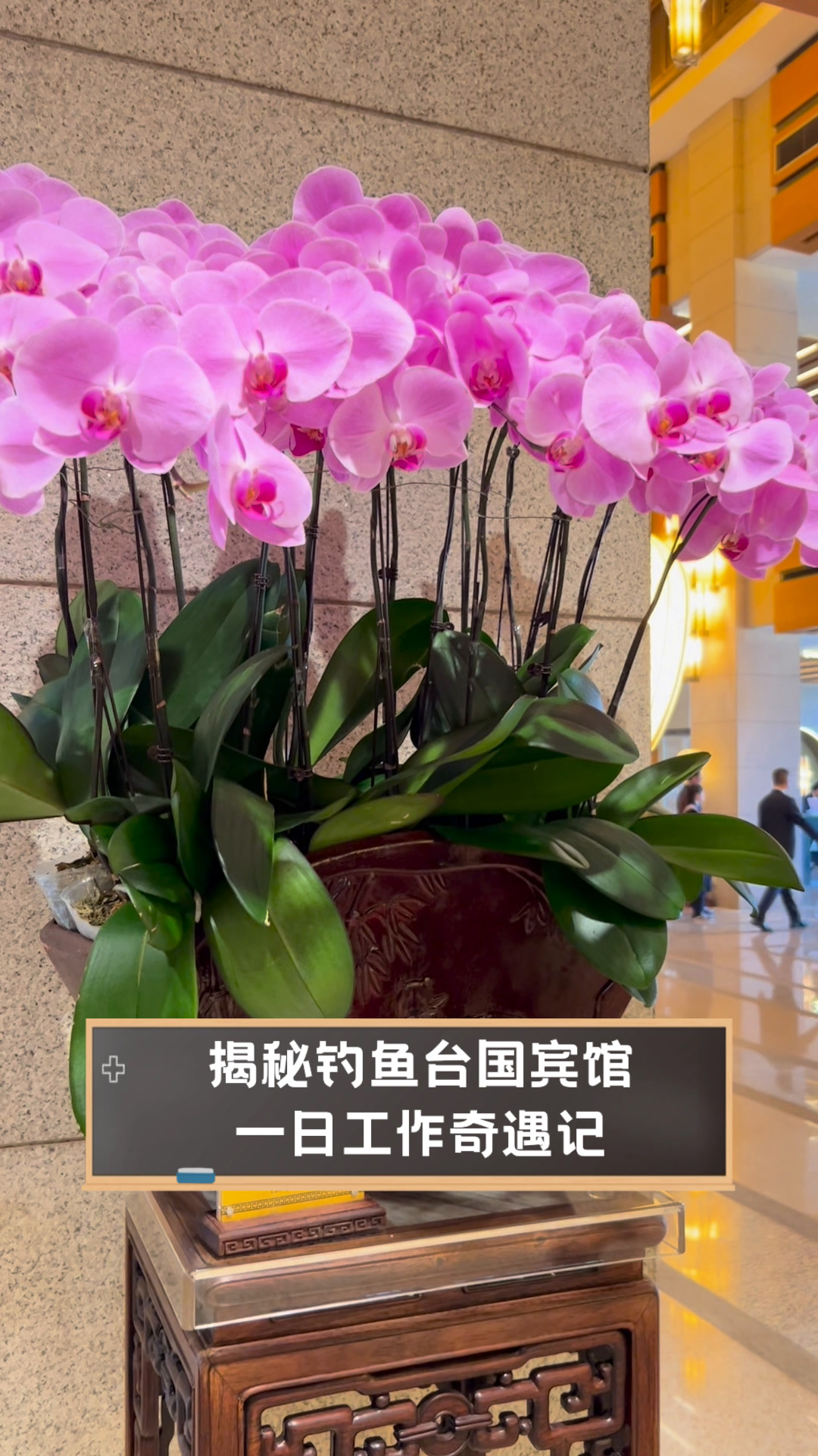 揭秘钓鱼台国宾馆,一日工作奇遇记