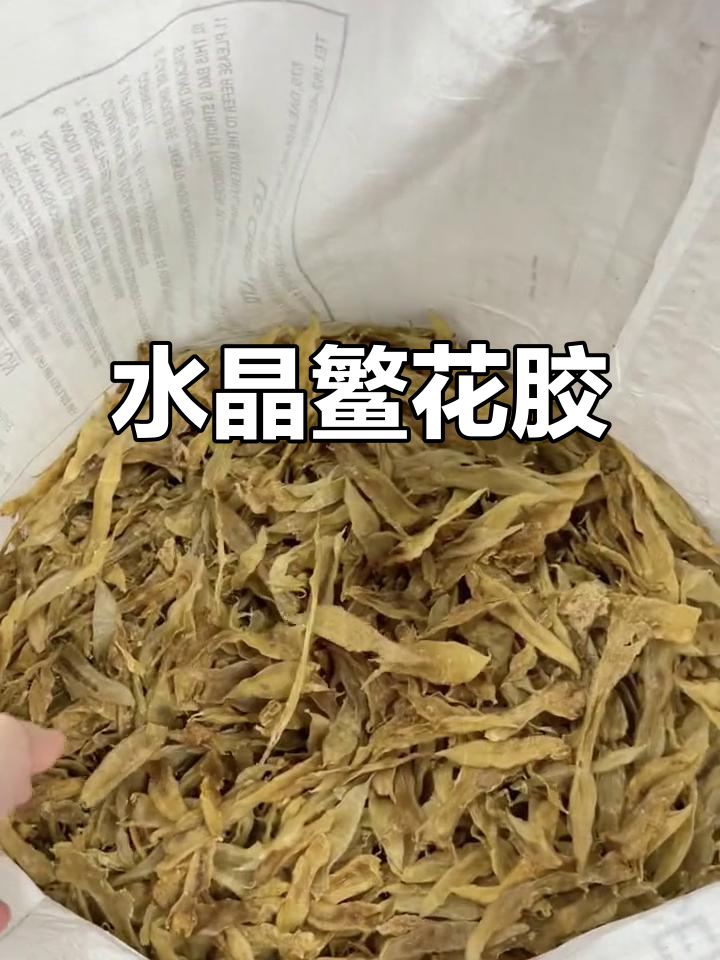 北海水晶鳘鱼胶:软糯多胶,八开明卡最佳选择