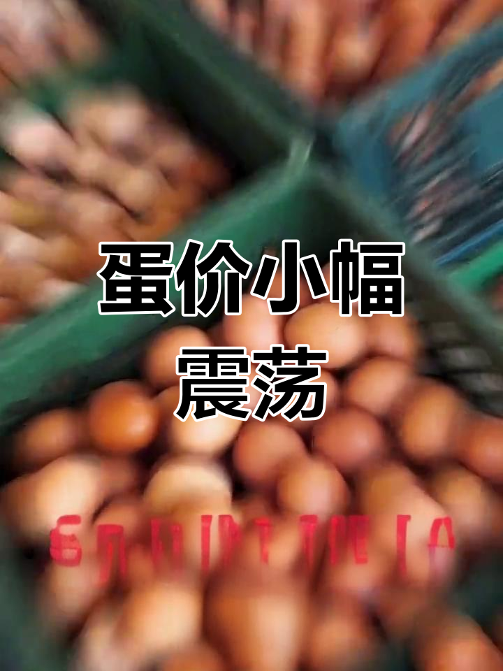 鸡蛋价格波动预警,市场动态分析