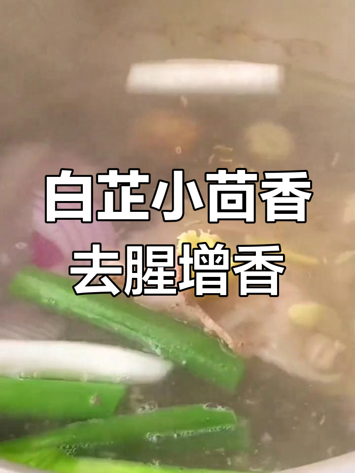 炖羊肉必备香料,白芷小茴香的巧妙搭配