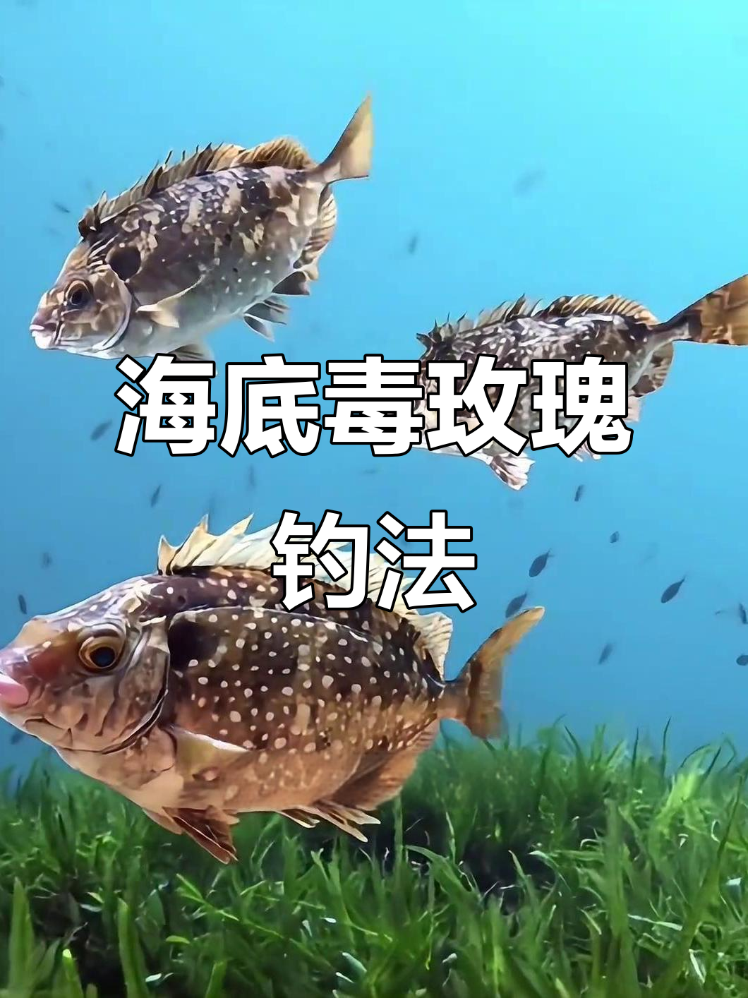 泥猛鱼钓法揭秘:如何用虾粉和藻类诱捕海底毒玫瑰