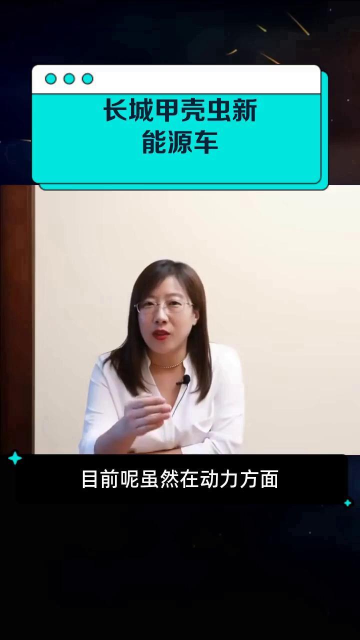 长城甲壳虫新能源车