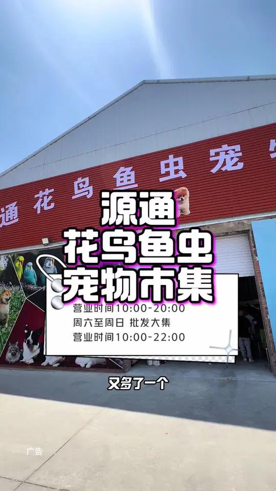 天津源通花鸟鱼虫宠物市集真好玩