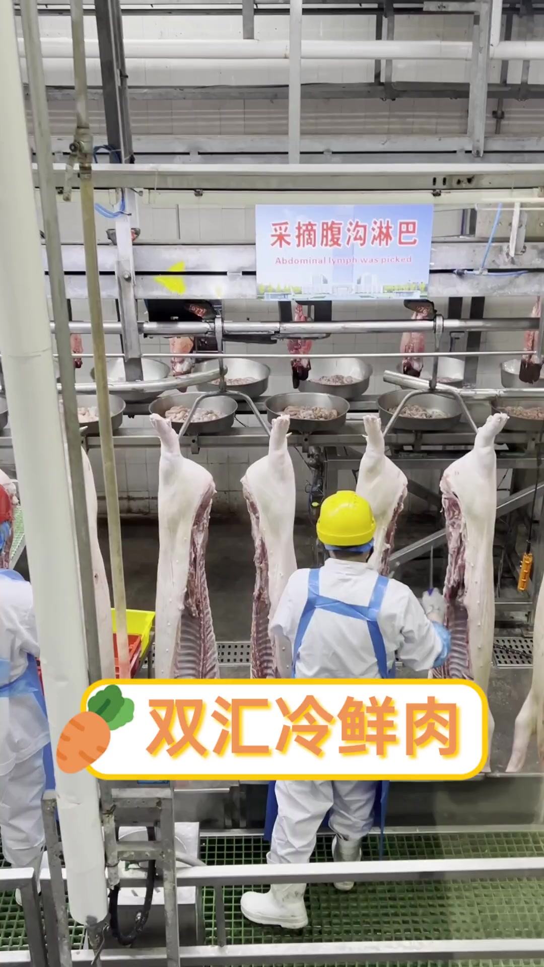 双汇冷鲜肉