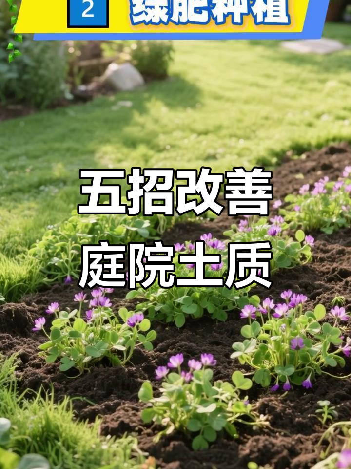庭院土壤改良五大技巧,轻松搞定!