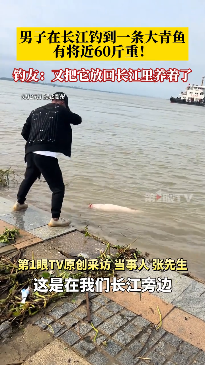 男子在长江钓到一条将近60斤重大青鱼!钓友:第一次钓到这么大
