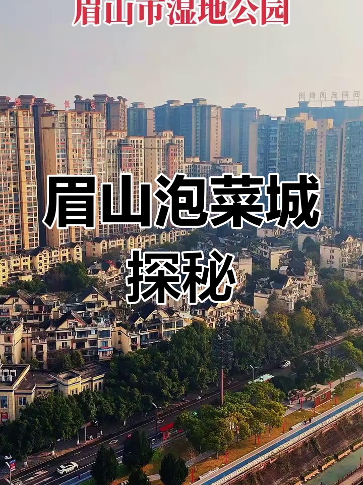 眉山市泡菜城:湿地公园、网红水街与苏东坡故居一游