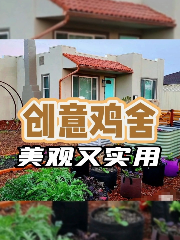 创意鸡舍—美观又实用