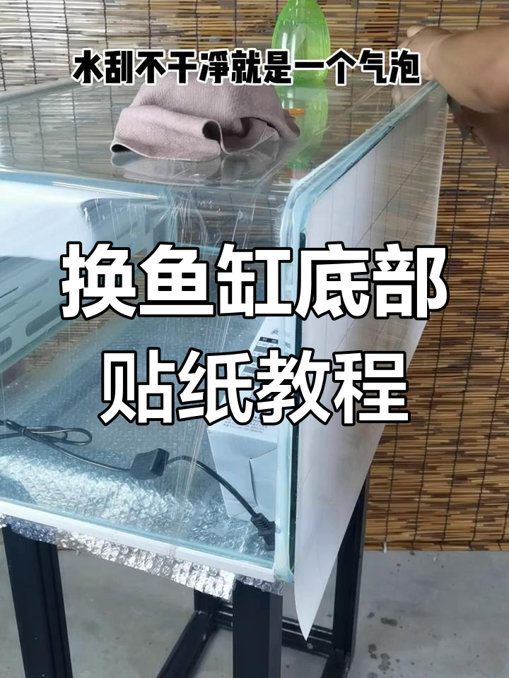 鱼缸底部贴纸更换全流程,轻松搞定发霉问题