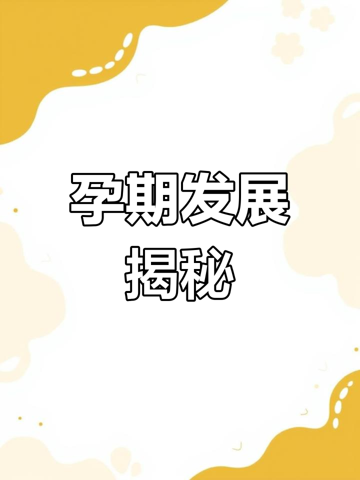 胎儿发育与准妈妈的变化