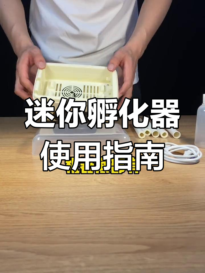 家用迷你孵化器,轻松孵小鸡