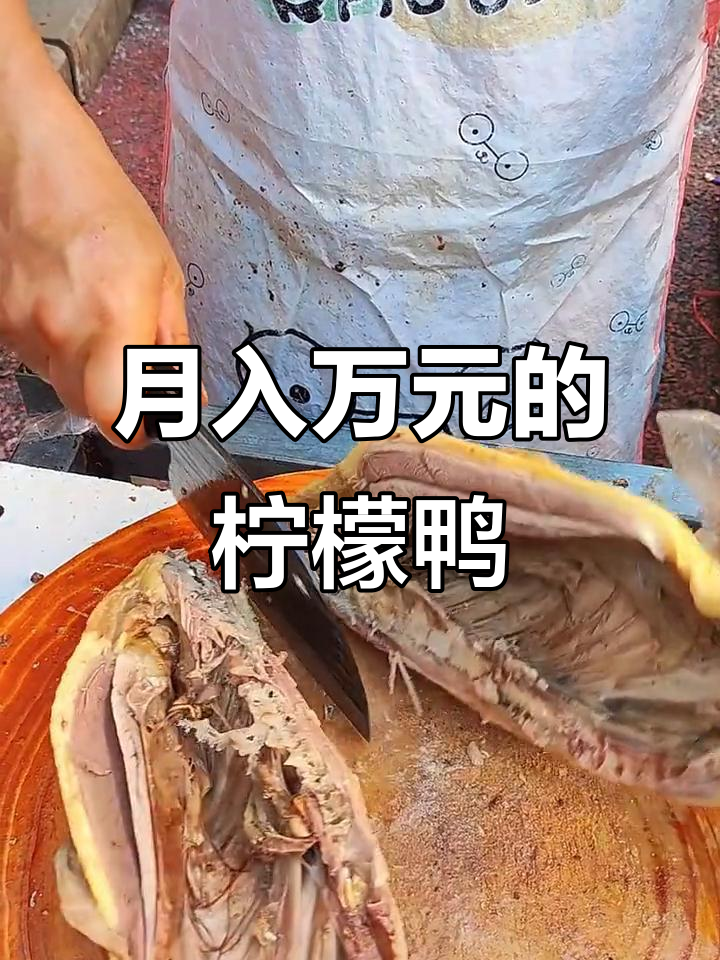 轻松学会柠檬鸭,月入过万不是梦!
