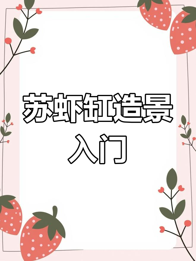 苏虾缸造景,轻松上手,给自然爱好者一个新体验!