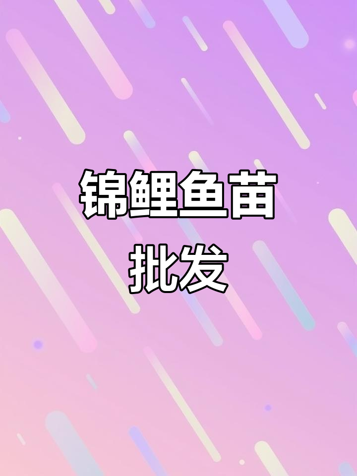 优质锦鲤鱼苗,批发供应,各地均有分场