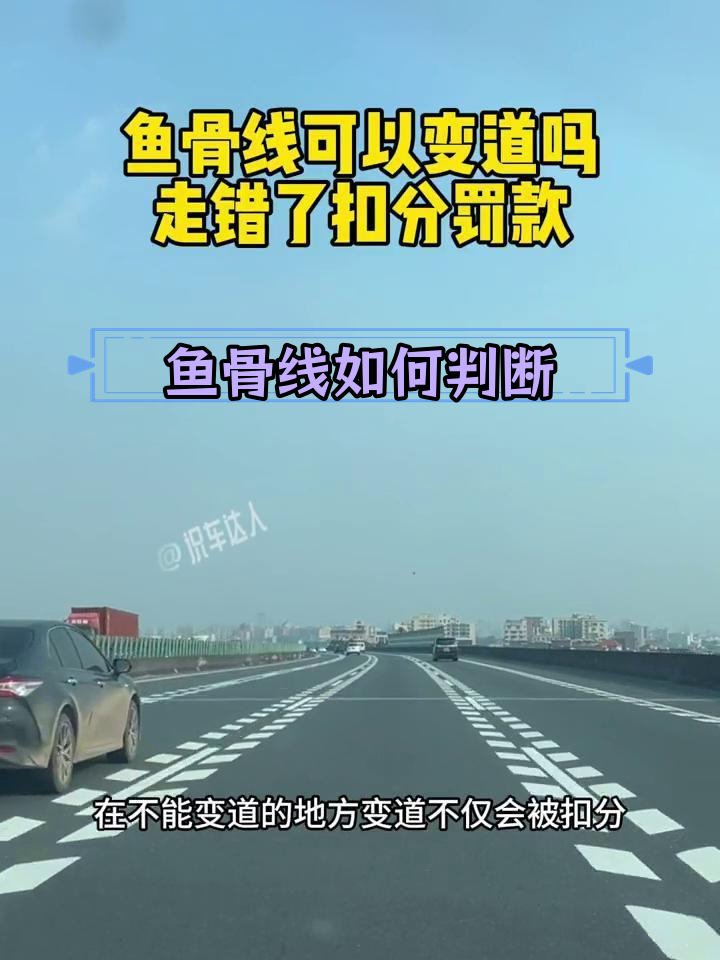 鱼骨线能变道吗?误判后果严重