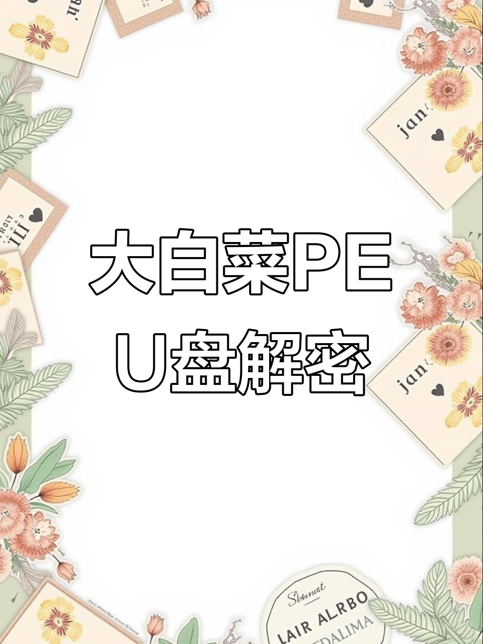 笔记本密码忘记?大白菜PEU盘轻松破解,操作超简单