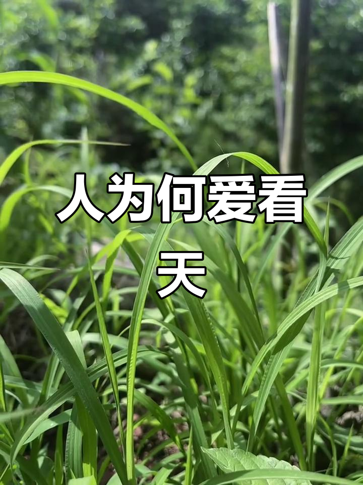 为什么人类总是喜欢仰望天空?