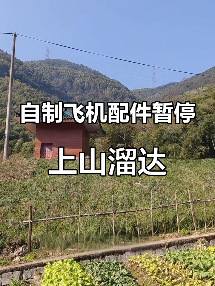 爬山挖笋,年糕炒冬笋,锻炼与美食的完美结合
