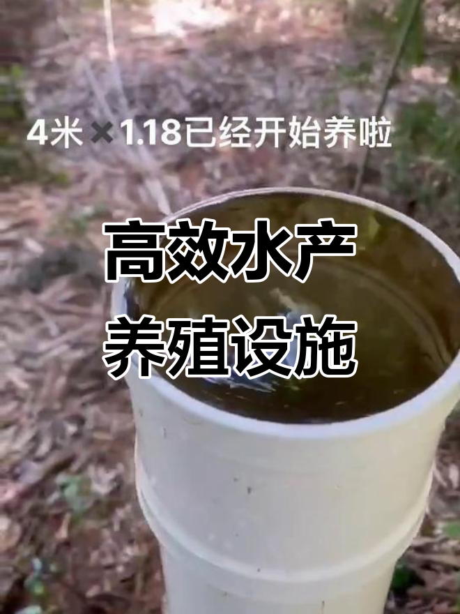 高密度养殖草鱼大头花鲢,镀金板帆布池设计揭秘