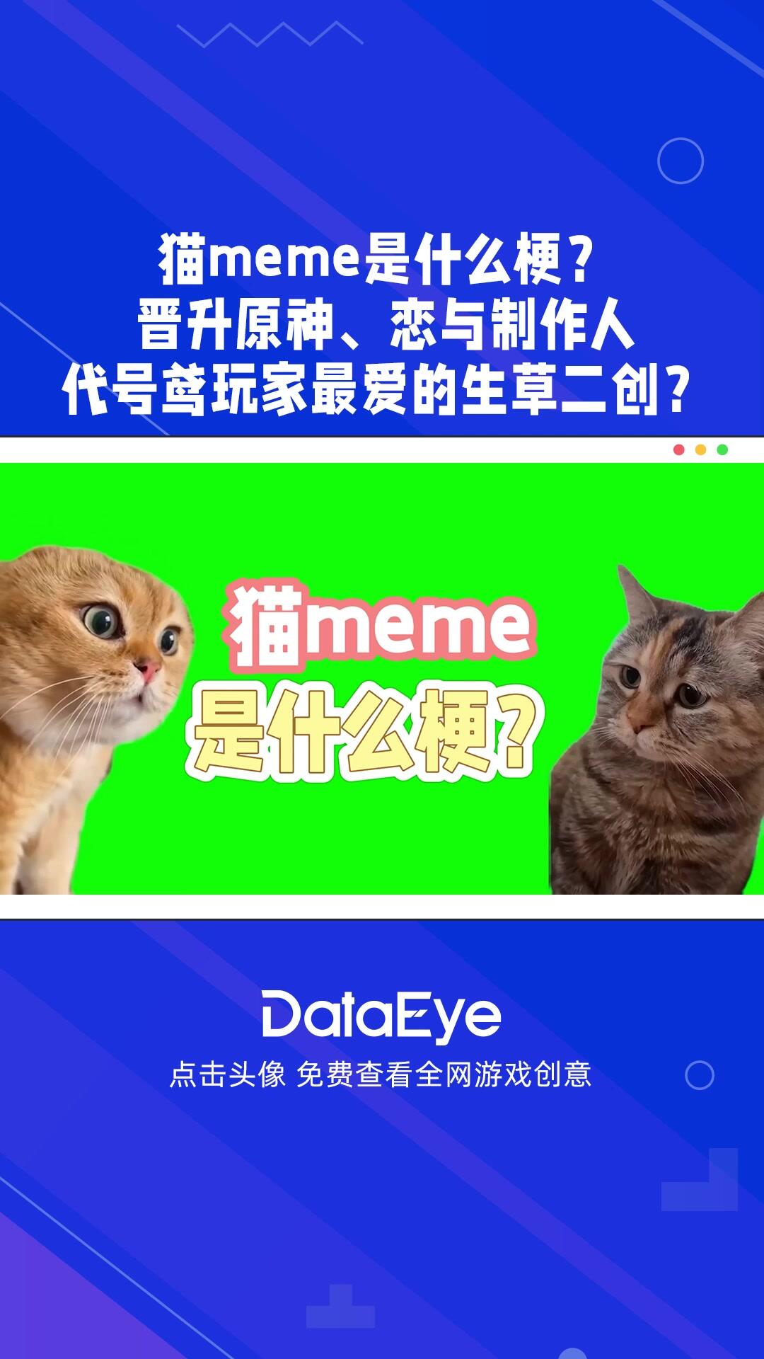 猫meme是什么梗?