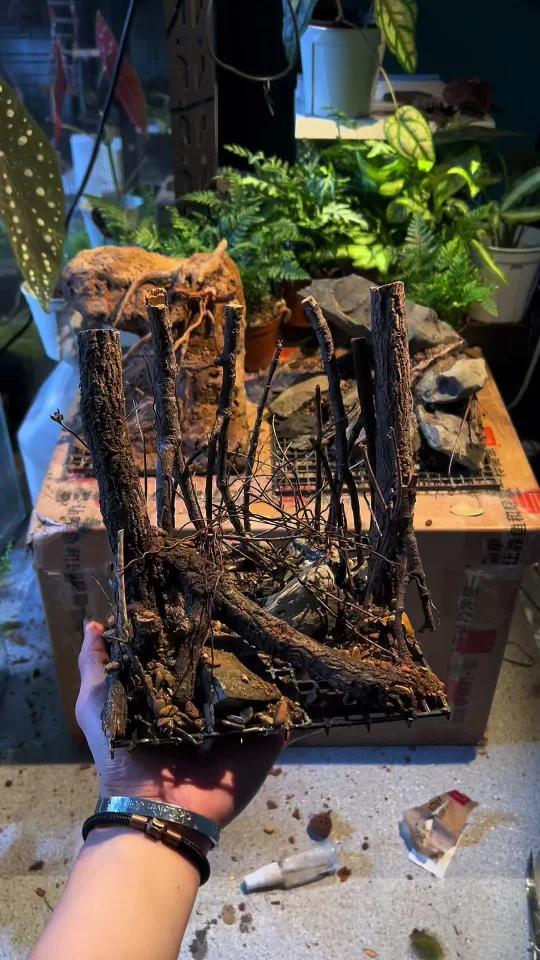 mini桌面鱼缸 怎么做好看呢?快来看看