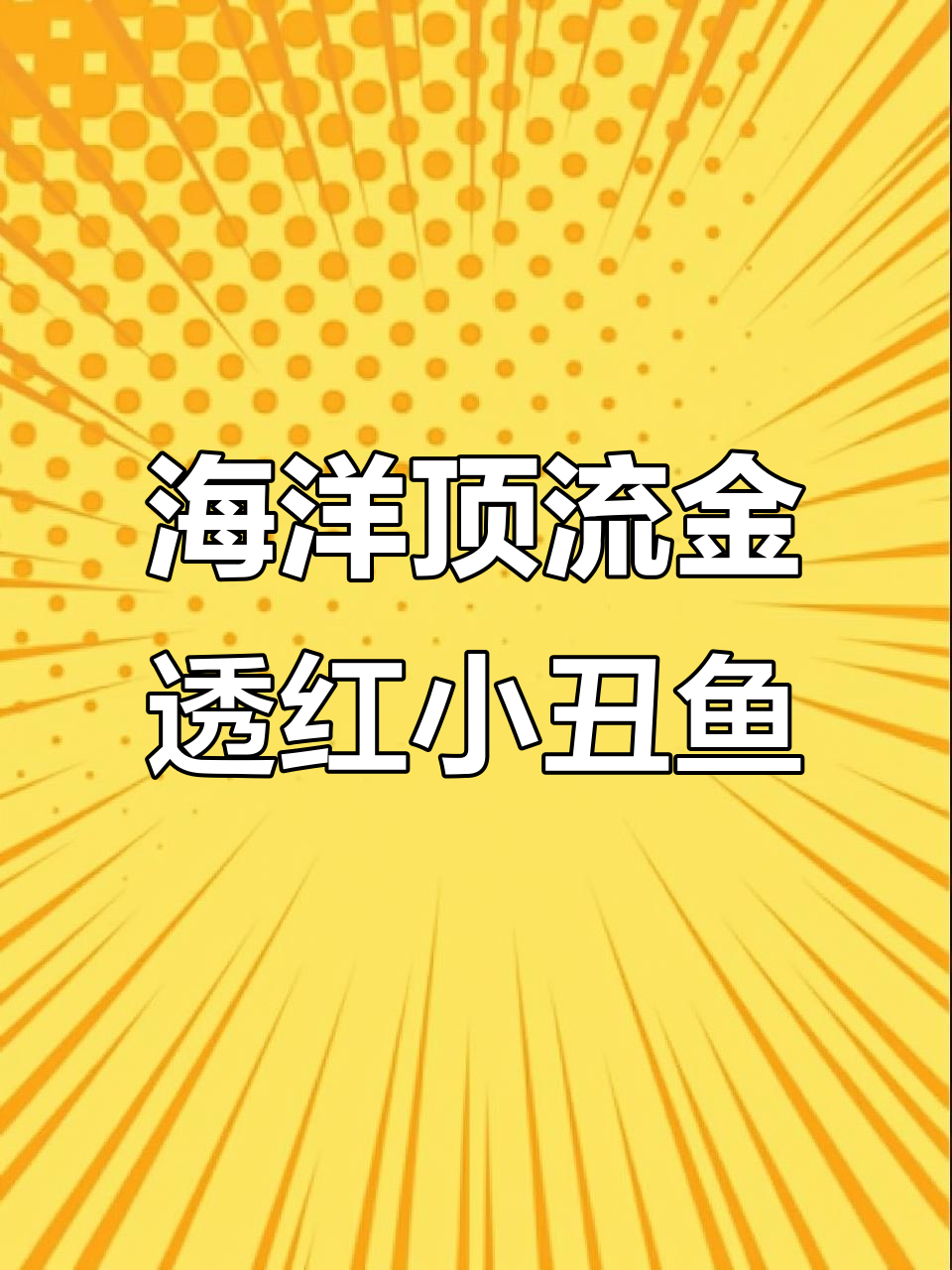 金透红小丑鱼:海底时尚王者,温顺与凶猛并存