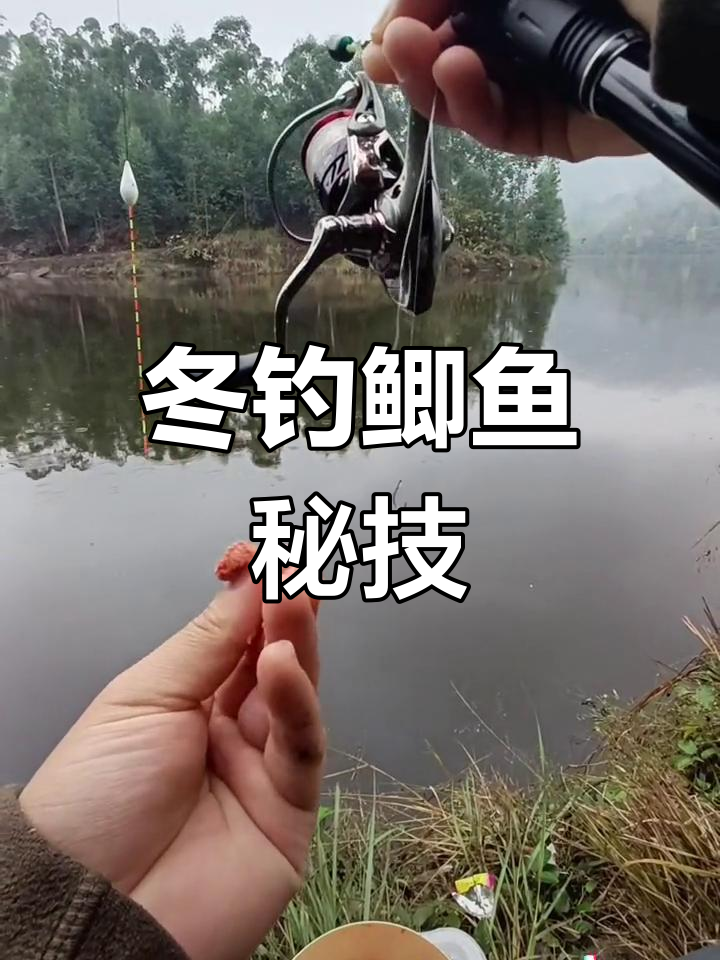 冬季钓鲫鱼,远投技巧轻松掌握,精准抛饵二十米!