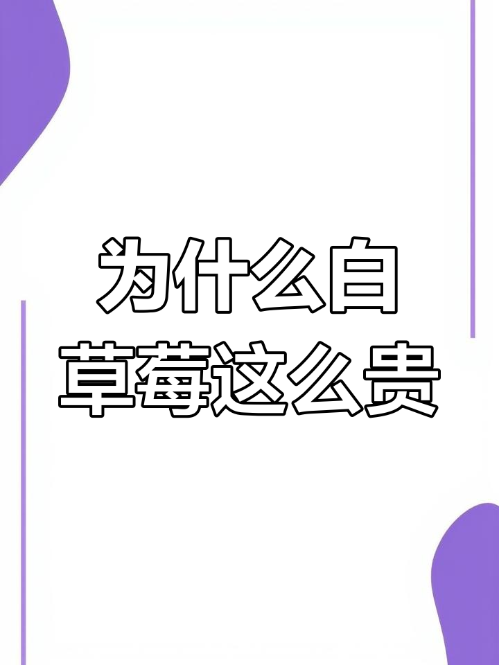 白草莓为何如此昂贵?揭秘其独特魅力与种植难题