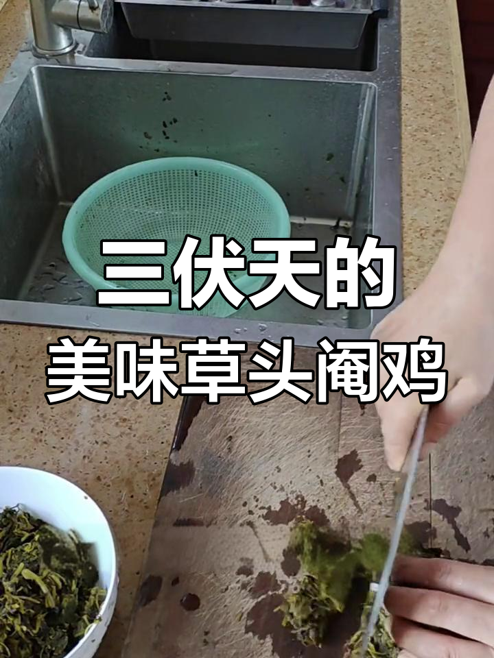 草头阉鸡虽无味,但三伏天吃最下饭
