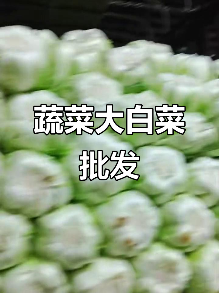 大白菜批发市场，新鲜蔬菜直供