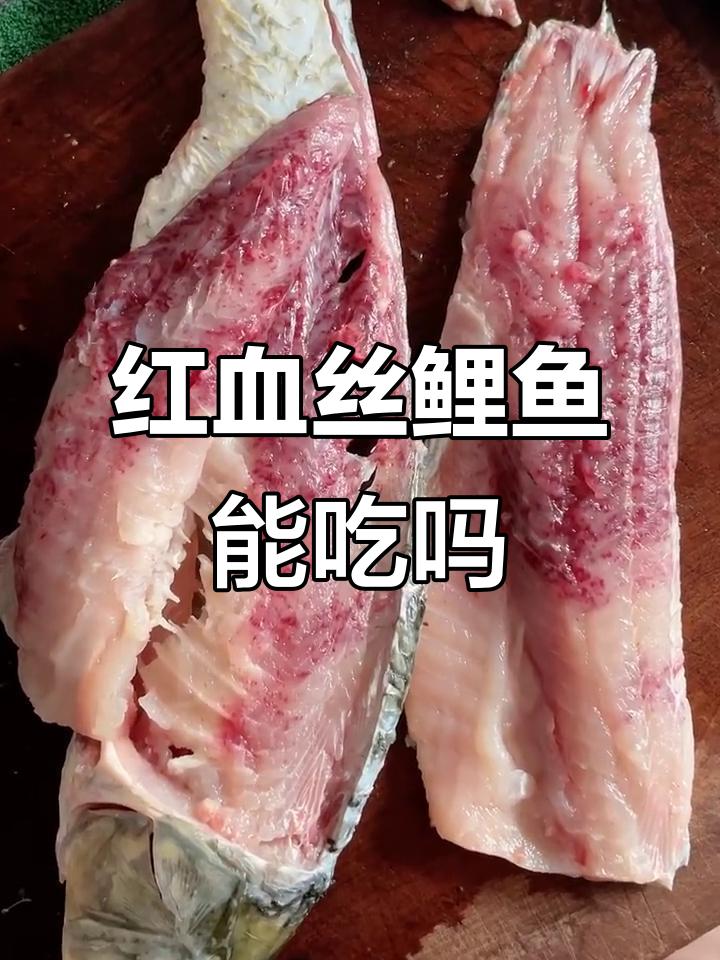 超市买的鲤鱼,切开后红血丝明显,还能放心食用吗?