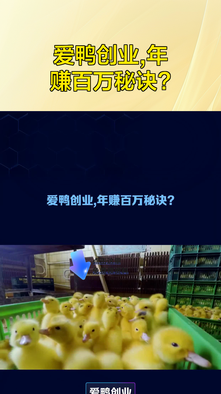 爱鸭创业,年赚百万秘诀?