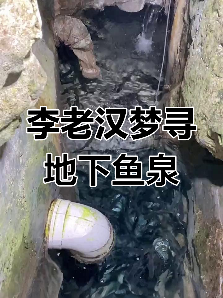 重庆巫溪神秘鱼泉,梦中指引发现地下宝藏