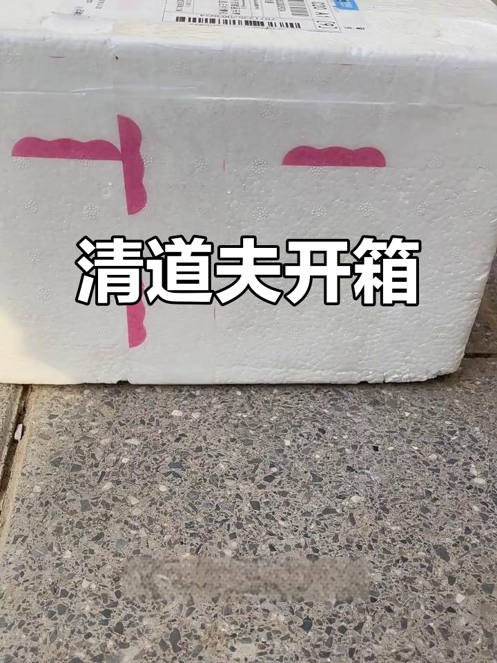 拆箱清道夫，活力满满的小鱼来啦