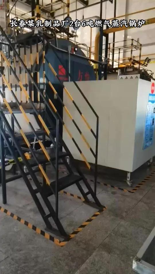长春某乳制品厂2台6吨燃气蒸汽锅炉