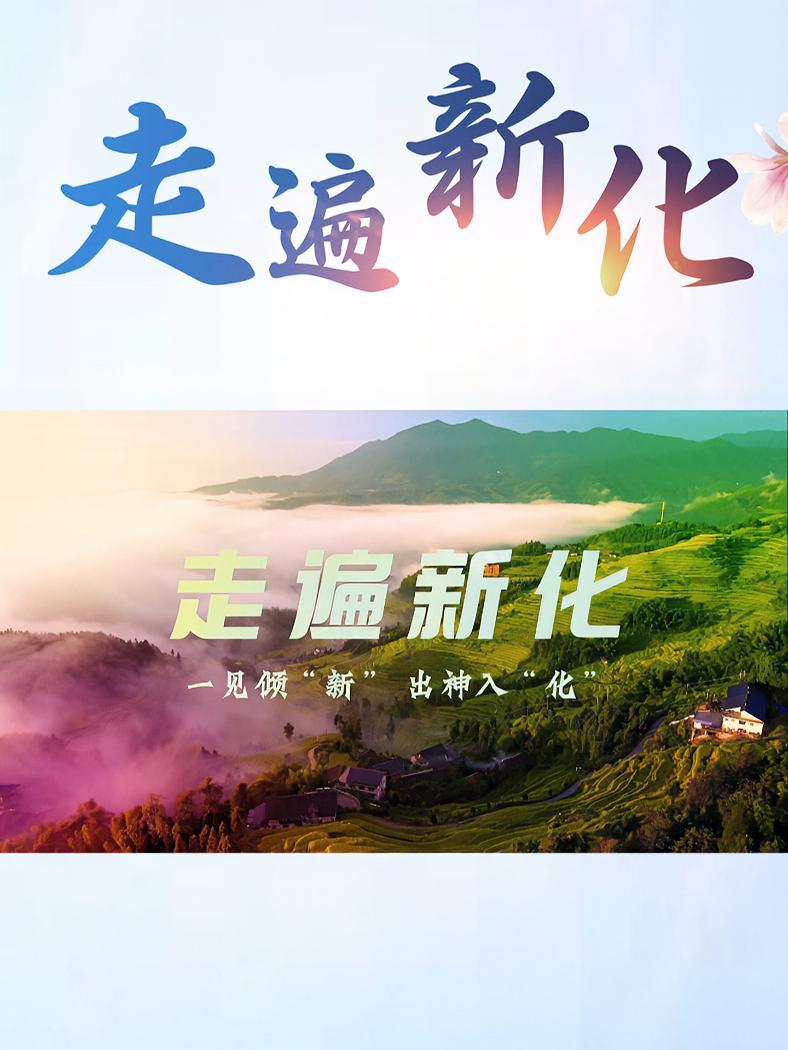 《走遍新化》|新化三合汤:味蕾上的热辣狂欢