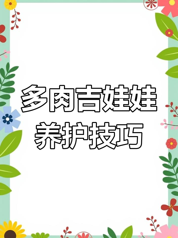 经典多肉吉娃娃,小巧精致的美丽形态