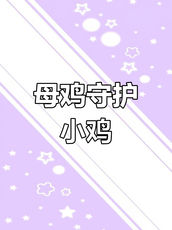 母鸡孵卵与护雏的感人故事