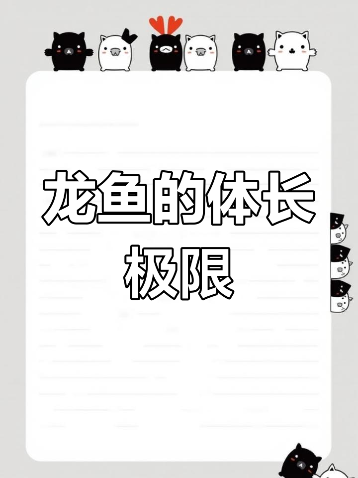 龙鱼能长多大?不同种类的最大尺寸揭秘