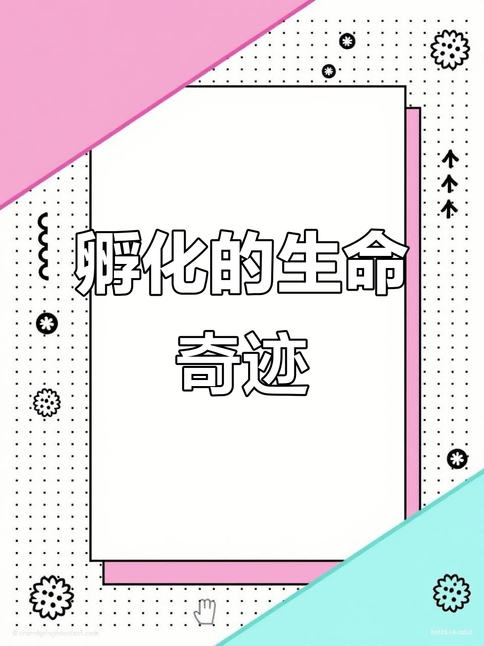 从鱼卵到小鱼，孵化关背金枪鱼的奇妙之旅