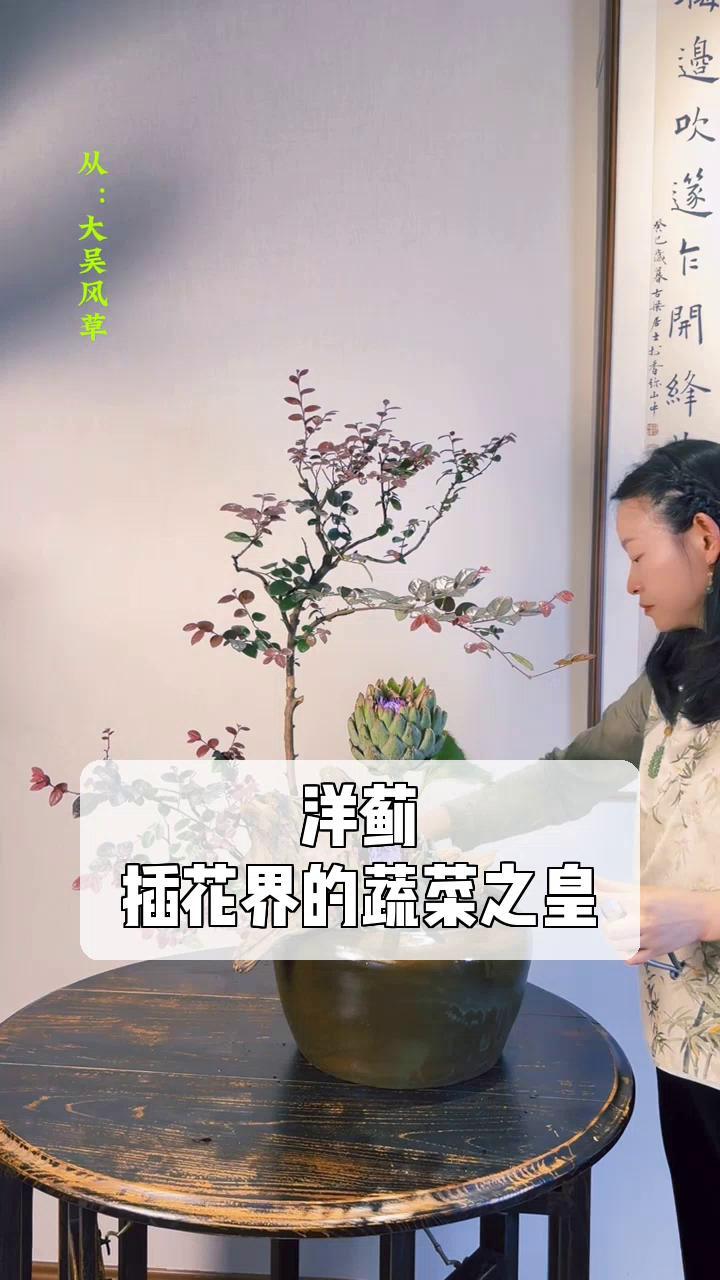 洋蓟,插花界的蔬菜之皇