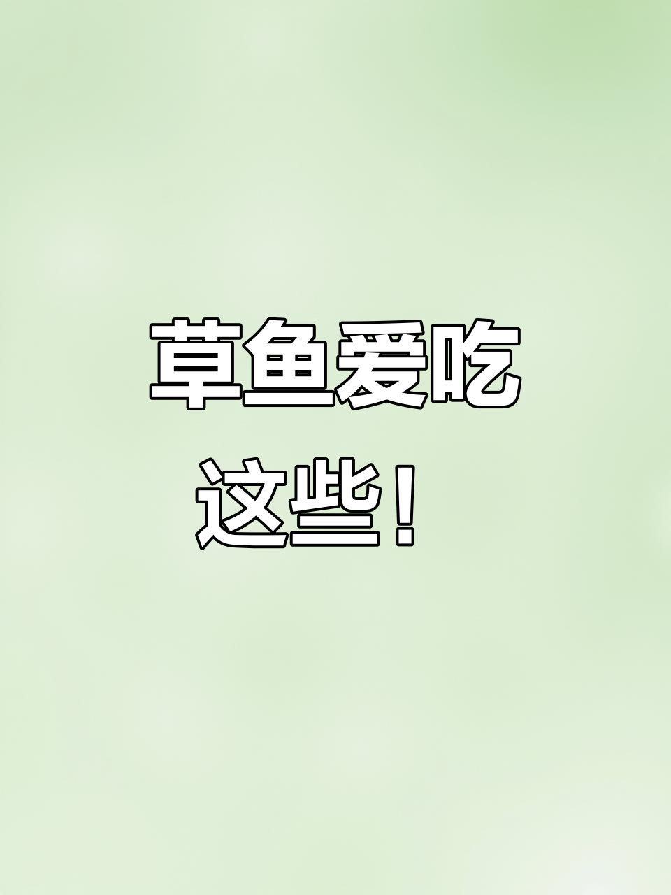 草鱼最爱吃什么？韭菜、玉米面粉和公鸡蛋的秘密饵料配方