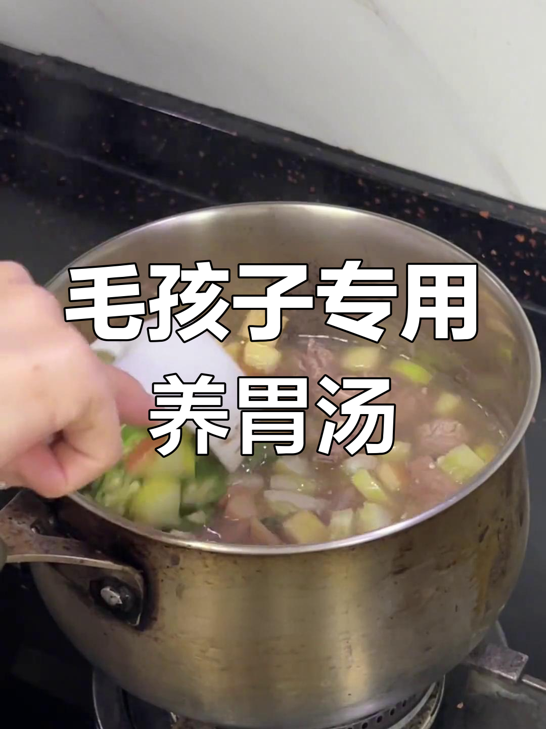 鲜蔬牛肉汤,给狗狗的肠胃保护