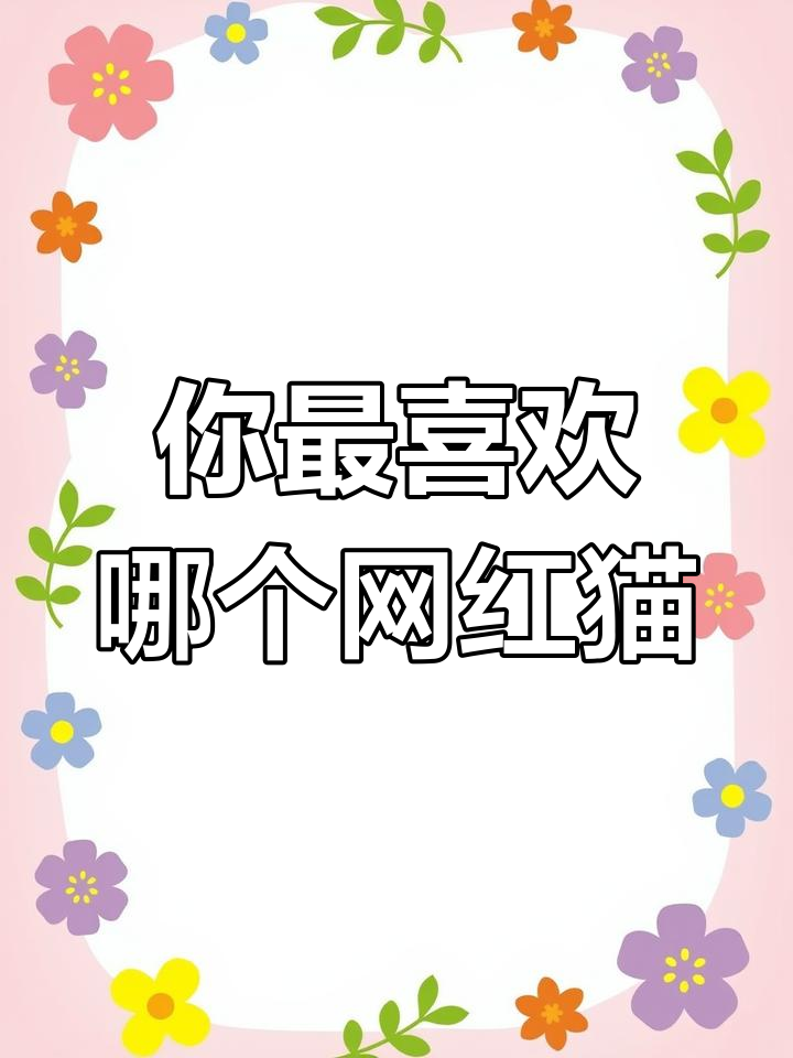 网红猫大比拼,哪只最想抱回家?