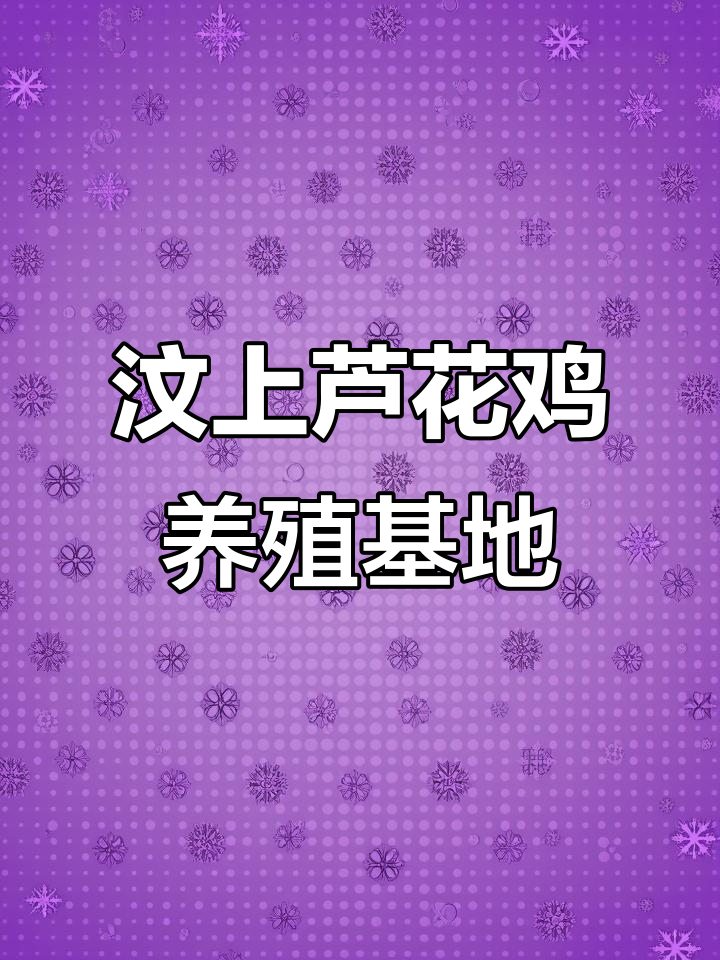 汶上芦花鸡示范基地:济宁熙乐经典农牧引领畜禽新风潮