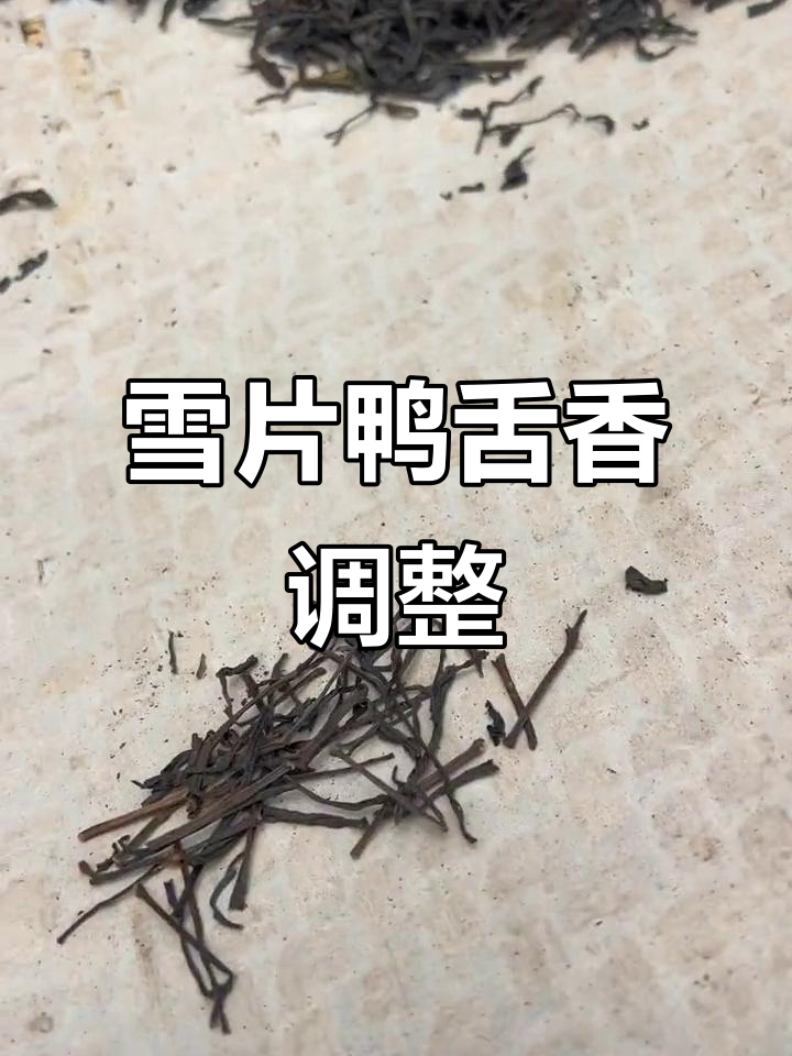 10月28日雪片鸭舌香茶汁微调赶工
