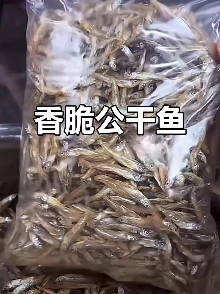 无骨无刺的公干鱼，炒出满满香味